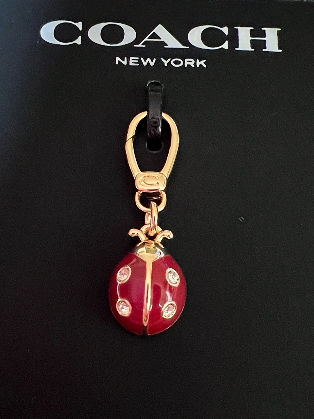 Coach Ladybug Charm - Picture 3 of 5